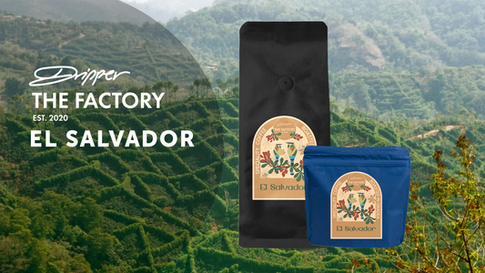 El Salvador: O Aventură Aromatică în Lumea Cafelei